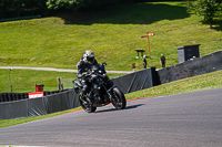 25-07-2025 Cadwell Park TR3OC Beezumph - Photos by Peter Wileman